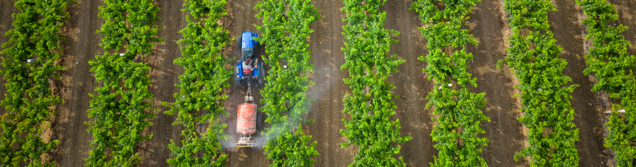 Fertilizer Stocks Break Out on Volume and Policy Support